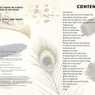 Widmung an Jess, Noah, Elijah und Fraser. Inhaltsverzeichnis mit Themen über Vögel. Illustrationen von Federn, Knochen und Fernglas.