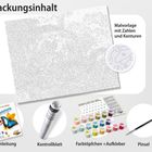"Packungsinhalt" zeigt Malen nach Zahlen: Vorlage, Anleitung, Kontrollblatt, Farbtöpfchen mit Aufklebern, Pinsel.