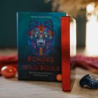 "Echoes of the Wild Souls" auf Buchcover mit buntem Wolfskopf. Roter Buchschnitt, dekorative Steine.