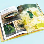 "More Fancy Outfits" und "Harnessing the Power of Bugs." Ein aufgeschlagenes Buch zeigt Bilder von glänzenden Insekten.