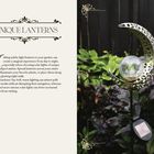 "Unique Lanterns" - Tipps zur Nutzung von Laternen im Garten. Bild zeigt eine Mond-förmige Solarlaterne in Pflanzen.