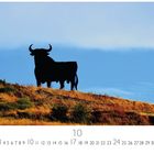 „Toro Osborne“, „CASARES EDITION“, „10“. Schwarzer Stier auf Hügel vor blauem Himmel, Kalenderzahlen unten.