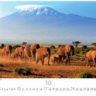 Text: "Elefantenherde am Kilimandjaro".   
Eine Elefantenfamilie wandert auf trockenem Boden, im Hintergrund der schneebedeckte Kilimandscharo.
