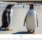 "10, 1 2 3 4 5 6 7 8 9 10 11 12 13 14 15 16 17 18 19 20 21 22 23 24 25 26 27 28 29 30 31, Casares Edition." Zwei Pinguine am Strand.