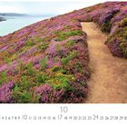 „Cap Frehel“ – Ein Pfad führt durch lila Heidekraut entlang einer Küste mit Blick auf das Meer.