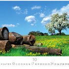 Kalenderblatt für Oktober mit Baumstämmen, Blumenwiese und blühendem Baum unter blauem Himmel.