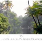 10 und CASAERS EDITION sind sichtbar. Üppiges Flussufer mit Palmen und dichter Vegetation bei leichtem Nebel.