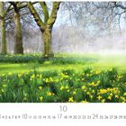 Kalenderblatt: Zahlen vom 1 bis 31, hervorgehoben: 10. Gelbe Narzissen blühen in einem Park unter kahlen Bäumen.