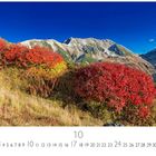 Text: "Berglandschaft", "10", "CASARES EDITION". Bunte Büsche im Vordergrund, dahinter hohe Berge unter klarem blauen Himmel.