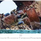 "Seelöwen auf den Ballestas Inseln." Zeigt Seelöwen, die sich auf roten Felsen am Wasserstrand sonnen. Unten sind Kalendertage.