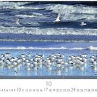 „Seeschwalben“ steht darunter. Küstenvögel stehen dicht gedrängt am Strand, während im Hintergrund Wellen brechen.