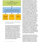 Seite 16, Basiswissen. Diagramm zu Ergotherapie: Indikation, Ziel, spezifische Aktivitäten, Beratung, Umweltanpassung.