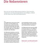 Titel: Die Nebennieren. Einleitung über Nebennierenschwäche. Beschreibung der Funktion und Struktur der Nebennieren.