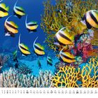 Kalenderblatt für Oktober; darunter Monatsübersicht. Bunte Fische schwimmen zwischen leuchtenden Korallen.
