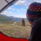 Ein rotes Zelt grenzt die Szene ein, darin blickt eine Person mit bunter Mütze auf einen sitzenden Hund in einer Berglandschaft.