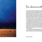 "Die karmesinrote Fliege" steht im Text. Eine dunkle Landschaft wirft einen Regenbogen über ein Feld mit Schafen.