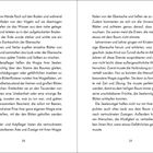 Doppelseitiger Text über Magiefäden, Seelenvögel und die Pflege eines Baumes. Seitenzahlen 28 und 29 sind sichtbar.