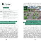 Steckbrief: Aussaat ab Mitte Mai, Dunkelkeimer 2 cm, Pflanzabstand 10-5 cm. Foto: Bohnenpflanzen an Stangen.