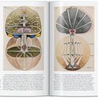 Links: "Tree of Knowledge, The W Series No. 1, 1913." 
Rechts: "Yggdrasil as an immense and sacred tree."
Gemälde von Bäumen.