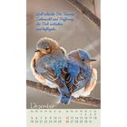 "Gott schenke Dir Träume, Sehnsucht und Hoffnung, die Dich antreiben und beflügeln." Zwei Vögel eng nebeneinander. Dezember-Kalender.