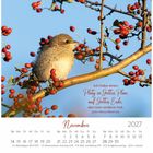 Zitat: "Ich habe einen Platz in Gottes Plan, auf Gottes Erde, den kein anderer hat." John Henry Newman. November 2027, Kalender. Ein Vogel sitzt auf einem Zweig mit roten Beeren.