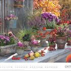 Text: "OKTOBER". Eine herbstliche Szene mit bunten Blumen, violetten Kerzen und Früchten auf einem Holztisch im Freien.