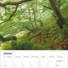 Oktoberkalender, üppiger grüner Wald mit Moos bedeckt.