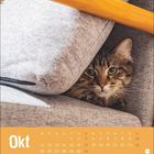 "Okt" und Kalendertage am unteren Rand. Eine Katze schaut zwischen grauen Sofakissen hervor.