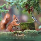 Text: „Oktober“. Ein Eichhörnchen und eine Meise auf einem moosbedeckten Baumstumpf, umgeben von Tannenzweigen und Zapfen.