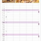 „FALL-ING FOR … FALL“-BENGALKATZE. Tag der Deutschen Einheit. Kalender für Oktober mit Fotos einer Bengalkatze im Herbstlaub.