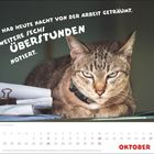 Text: "Hab heute Nacht von der Arbeit geträumt. Weitere sechs Überstunden notiert." Ein Kalenderblatt mit einer Katze im Vordergrund.