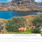Oktoberkalenderblatt; ein Lama im Cajas-Nationalpark, Ecuador. Kind lächelt unten rechts. Kalenderdaten darunter.
