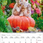 Kalendermonat Oktober 2027. Zwei rot-weiße Kätzchen sitzen auf einem großen Kürbis, umgeben von buntem Laub.