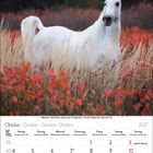 Kalender: Oktober 2027. Weißes Pferd steht in einem Feld mit rotem Laub.