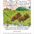 Illustration mit zwei Bären: „Angeln kann unheimlich entspannend sein!“, „Man darf nur keine Schnur dranbinden...“.