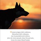 20 JUNI 27, 25. Woche. Zitat über Freundschaft mit einem Hund von Douglas Malloch. Silhouette eines Hundes vor Sonnenuntergang.