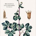 Text: "Melaleuca leucadendra, Fam. Myrtaceae." Botanische Illustration: Pflanze mit violetten Blüten, unten Kalender.