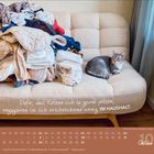 Text: "Dafür, dass Katzen sich so gerne putzen, engagieren sie sich erschreckend wenig im Haushalt."  
Eine Katze liegt neben Wäsche auf einem Sofa. Unten ist ein Kalender für Oktober.