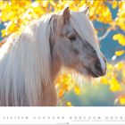 Kalenderseite für Oktober. Ein Pferd vor leuchtend gelben Herbstblättern, der Text zeigt die Tage 1 bis 31.