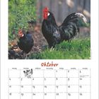 Überschrift: "Oktober", Text: "Tag der Deutschen Einheit", "Reformationstag". Hahn und Henne in einem Garten.