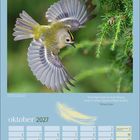 Kalenderseite Oktober 2027 mit Zitat von William Blake. Ein fliegendes kleines Vögelchen mit ausgebreiteten Flügeln.