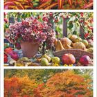 Oktoberkalender mit herbstlichen Bildern: Rote Blätter, Hortensien in einem Topf, diverse Früchte, bunte Bäume.