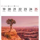 Juli, 29. Woche: 19-25, Montag bis Sonntag. Ein Baum steht auf einem Felsen, mit Blick auf eine weite Schlucht.