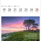 Kalender für Juli mit Woche ab dem 19. Zitat: "Zufriedenheit mit seiner Lage ist der größte und sicherste Reichtum." – Marcus Tullius Cicero. Darstellung eines Strandes bei Sonnenuntergang.