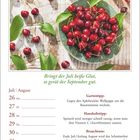 Bringt der Juli heiße Glut, so gerät der September gut. Viele frische Kirschen in einem grünen Teller auf birkenähnlichem Untergrund.