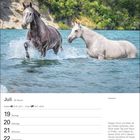 Juli, 29. Woche. Pferde im Wasser vor einer grünen Landschaft. Zitat von einem irischen Segenswunsch. Holsteiner.