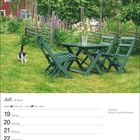 Juli, 19. bis 25. Woche. Julisonne bringt dir zweimal Wonne. Ein grüner Gartentisch mit Stühlen, Katze, Blumen, Haus.