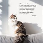 Zitat von James Boswell über die Verwöhnung eines Katers. Unten Kalenderdaten. Links sitzt eine Katze in der Sonne.