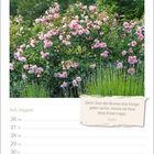 "Wenn Zeus den Blumen eine Königin geben wollte, müsste die Rose diese Krone tragen." - Sappho. Kalender Juli/August.