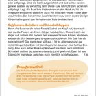 Die Ohrensprache der Eulen, Aufplustern, Zwinkern und Schnabelklappern, Transformer Owl. Illustration einer Eule.